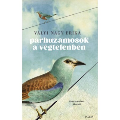 P&amp;aacute;rhuzamosok a v&amp;eacute;gtelenben - Lehetsz szabad.Akarod? - V&amp;aacute;lyi-Nagy Erika foto