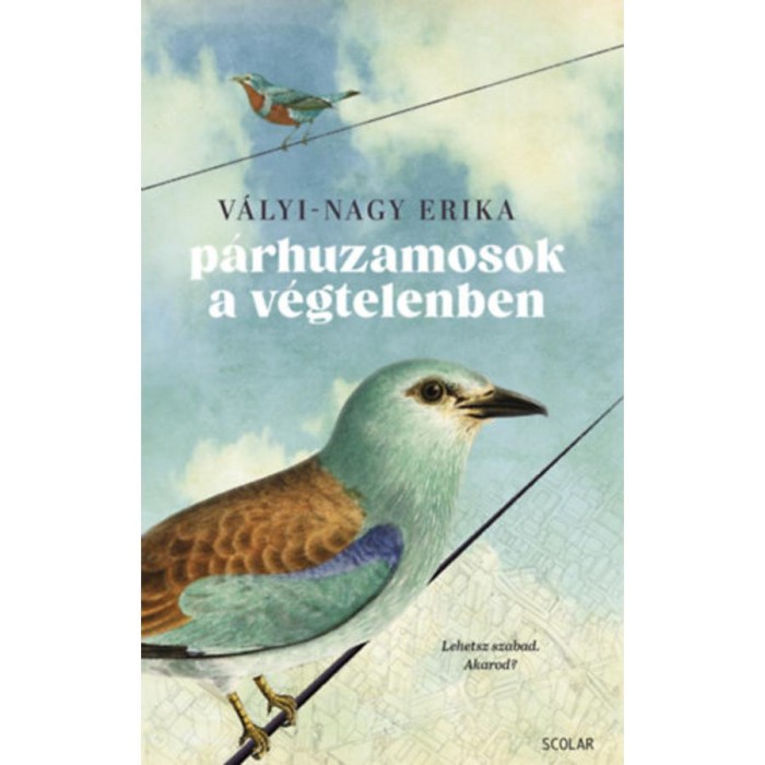P&aacute;rhuzamosok a v&eacute;gtelenben - Lehetsz szabad.Akarod? - V&aacute;lyi-Nagy Erika