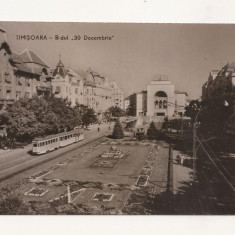 CA20 -Carte Postala- Timisoara , Bd 30 Decembrie, circulata 1962