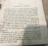 0001R O calatorie cu avionul