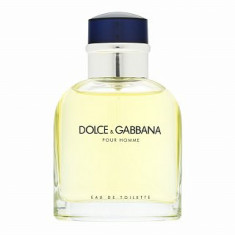 Dolce &amp;amp;amp; Gabbana Pour Homme eau de Toilette pentru barbati 75 ml foto