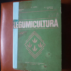 legumicultura prof. dr. indrea cluj