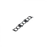 Garnitura galerie admisie RENAULT VEL SATIS (BJ0_) 3.0 dCi (BJ0J BJ0N) 2002 - prezent CORTECO 450348