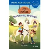 Miraculosul Maximus. Disney. Trei dorinte. Nivelul 3. Miniroman/Kiki Thorpe