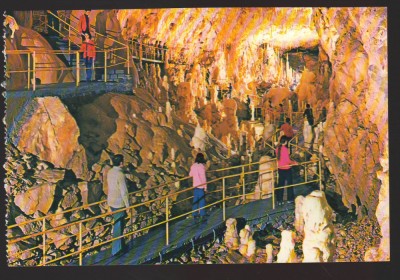 CPIB 22394 - CARTE POSTALA - PESTERA URSILOR (CHISCAU) - BIHOR, NECIRCULATA foto