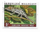 Madagascar - Cameleoni, 1973 - obliterat