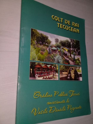 Album de fotografii COLT DE RAI TECUCEAN GRADINA PUBLICA TECUCI,Parcul central foto