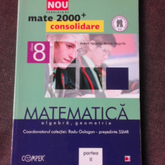 Matematica, algebra, geometrie, mate 2000+ consolidare pentru clasa 8-a - Radu Gologan partea a II-a