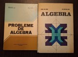 ALGEBRA - PROBLEME DE ALGEBRA - 2 VOLUME - ION ION, NICOLAE RADU, DORIN POPESCU
