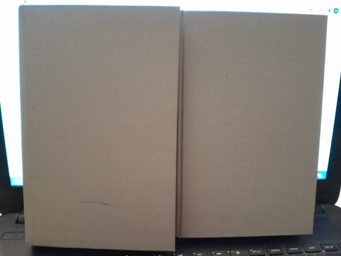 Decameronul - Boccaccio vol.I+II