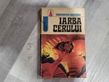 Iarba cerului de Constantin Cublesan