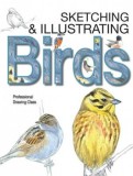 Sketching &amp; Illustrating Birds: Professional Drawing Class
