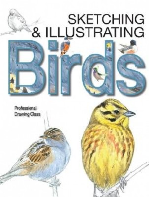 Sketching &amp;amp; Illustrating Birds: Professional Drawing Class foto