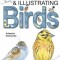 Sketching &amp; Illustrating Birds: Professional Drawing Class
