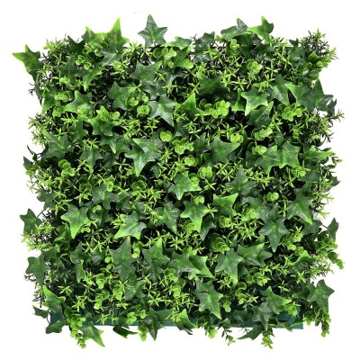 Perete verde din plastic Rosa 50x50 cm foto