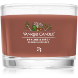 Yankee Candle Praline &amp; Birch lum&acirc;nare votiv 37 g