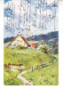 D11 A 25 - Felicitare de colectie - circulata la 1902 - Frankfurt, Germania, Printata