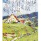 D11 A 25 - Felicitare de colectie - circulata la 1902 - Frankfurt