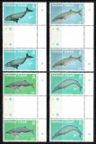 Falkland 1989, Mi #503-506**, fauna, cetacee, balene, MNH! Cota 48 &euro;!, Nestampilat