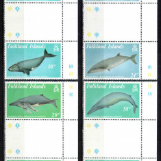 Falkland 1989, Mi #503-506**, fauna, cetacee, balene, MNH! Cota 48 €!