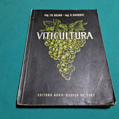 VITICULTURA / TH. BEJAN, V. DVORNIC / 1954 *