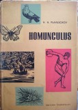 Homunculus