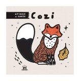 Cumpara ieftin Atinge și simte - Cozi - Hardcover - Surya Sajnani - Didactica Publishing House