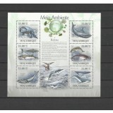 MOZAMBIC 2010 FAUNA MARINA BALENE