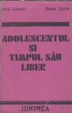 Adolescentul si timpul sau liber - Andrei Cosmovici, Mariana Caluschi