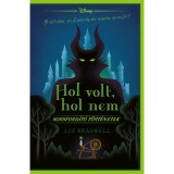 Disney - Hol volt, hol nem - Sorsford&iacute;t&oacute; t&ouml;rt&eacute;netek - Liz Braswell