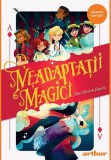 Neadaptatii magici vol. 1 - Grupul Art