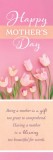 Happy Mother's Day - Bookmark - James 1:17