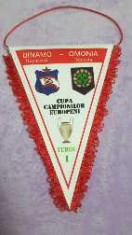 Fanion Dinamo foto