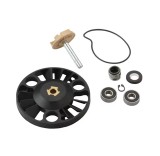 Pompa Apa Scuter Piaggio 125cc 150cc 200cc - rulmenti mici, TMMP