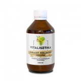 Nectar din colagen de peste cu shilajit Vitalisztika 250 ml