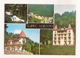 RF51 -Carte Postala- Slanic Moldova, necirculata