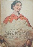 Aisoltan Din tara aurului alb - Berdi Cherbaev