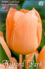 Lalele Apricot Beauty foto