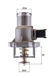 MAHLE TM 55 105 termostat,lichid racire