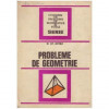 Mihail Stefan Botez - Probleme de geometrie - 124367