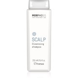 Framesi Morphosis Scalp curatarea profunda a scalpului 250 ml