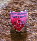 Insigna regalista OSP