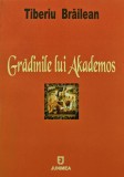 Cumpara ieftin Gradinile lui Akademos carte Tiberiu Brailean 2005 Editura Junimea Brosata 219 pagini Autograf