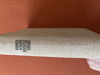 Thomas Mann foto