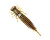 Năluca soft Fanatik Larva 1.6 inch culoare 004