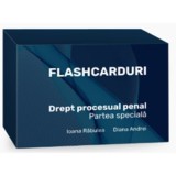 Flashcarduri. Drept procesual penal. Partea speciala - Ioana Rabulea, Diana Andrei