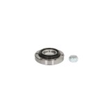 Set rulment roata RENAULT 25 B29 BTA H1R004BTA