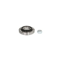 Set rulment roata RENAULT 25 B29 BTA H1R004BTA