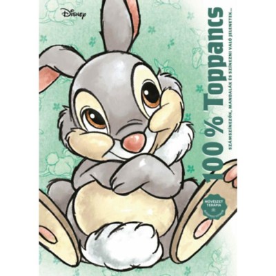 Disney - 100% Toppancs foto