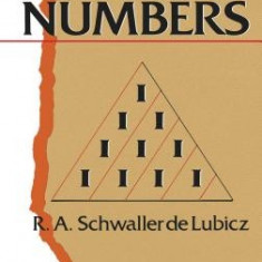 A Study of Numbers: A Guide to the Constant Creation of the Universe